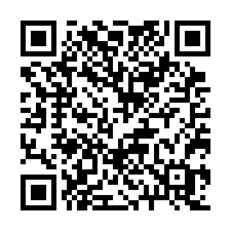 QR code for 217SFG
