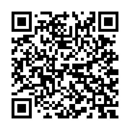 QR code for 217TLE