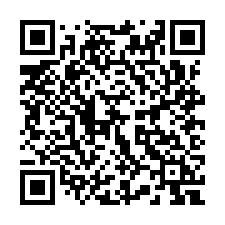 QR code for 220IZH