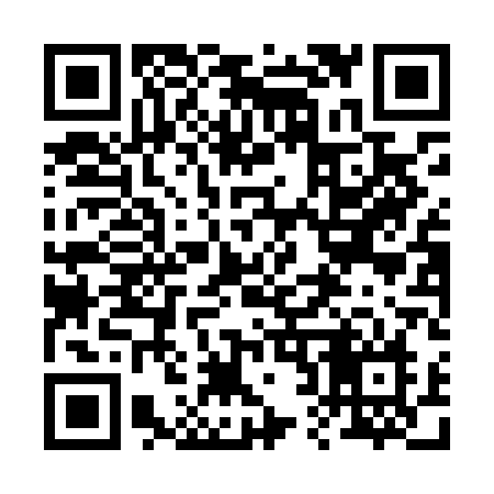 QR code for 220LAN