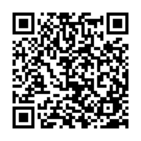 QR code for 220MUD