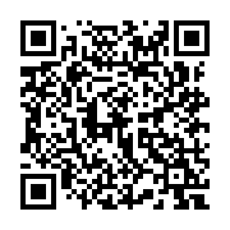 QR code for 221IMM