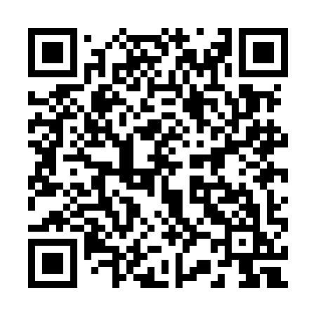 QR code for 221MIK