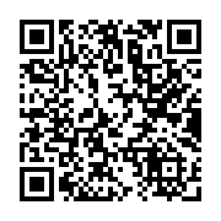 QR code for 221SYI