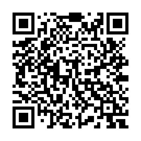 QR code for 221ZUI
