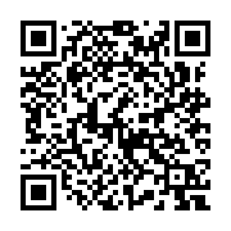 QR code for 222ICP