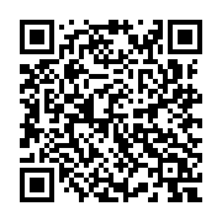 QR code for 225IDT