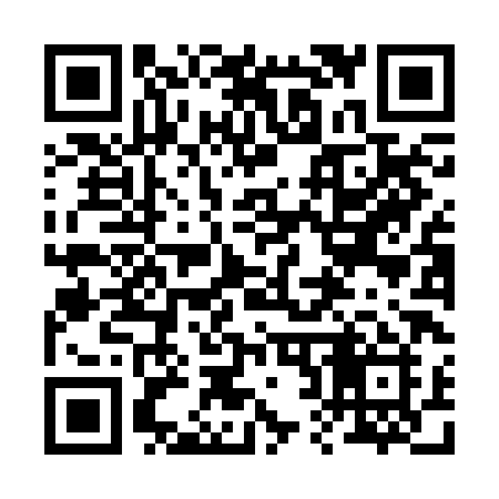 QR code for 228BHI