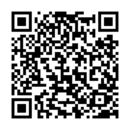 QR code for 228GHZ