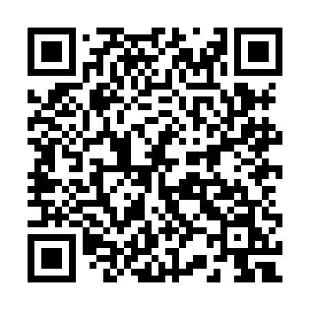 QR code for 228HEN