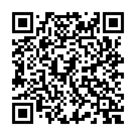 QR code for 228IVA