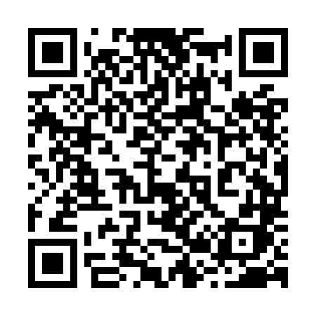 QR code for 228OLH