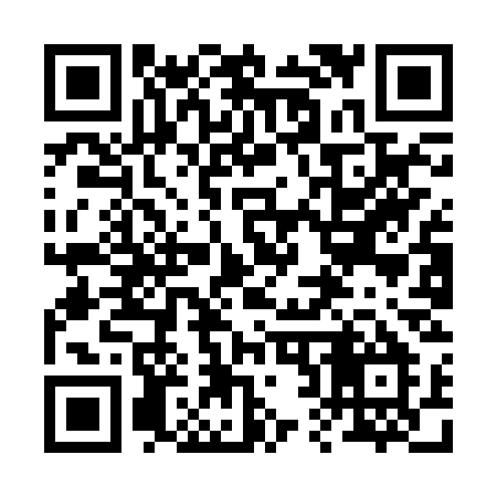 QR code for 229BSM