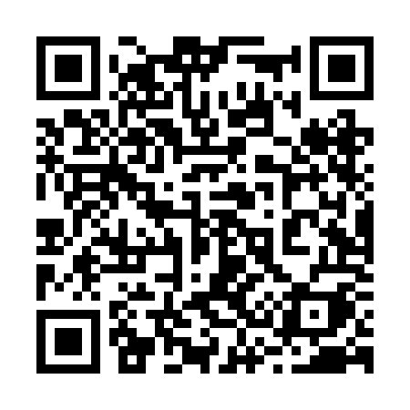 QR code for 234ROI