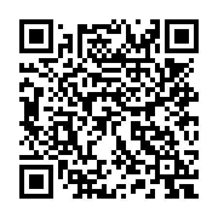QR code for 243NSI