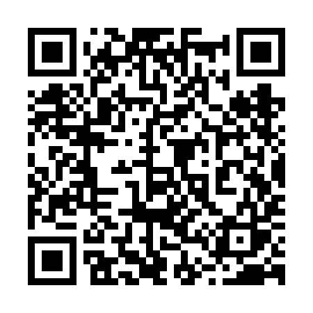 QR code for 243VIS