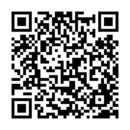 QR code for 246TIF