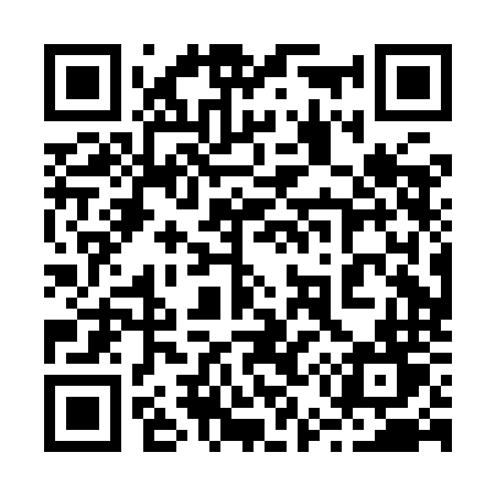 QR code for 250INT