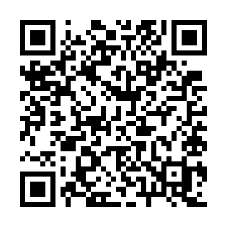 QR code for 255WII