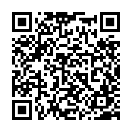 QR code for 256ZIV