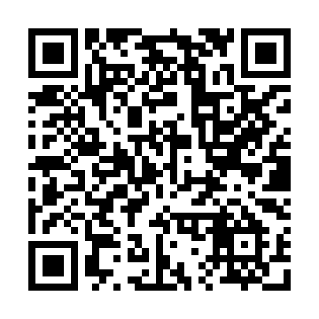 QR code for 272XIM