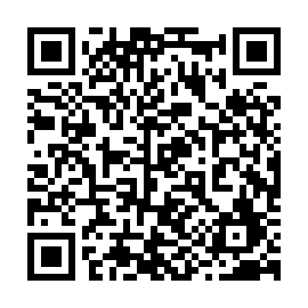 QR code for 290HSF
