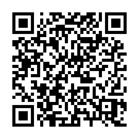 QR code for 290IAR