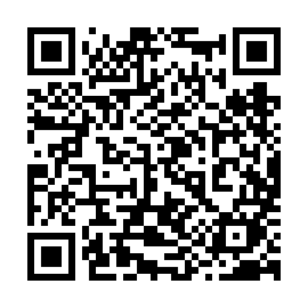 QR code for 290VMM