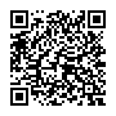 QR code for 290ZUI