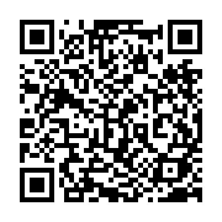 QR code for 291NMI