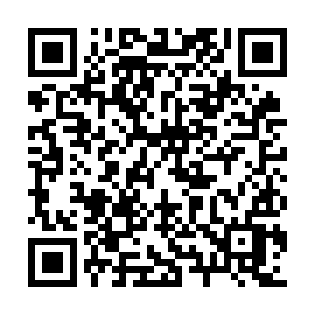 QR code for 291OIV