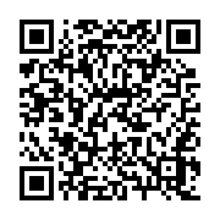 QR code for 291RUZ