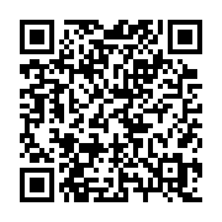 QR code for 291SVM