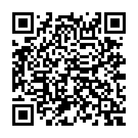 QR code for 291TIA