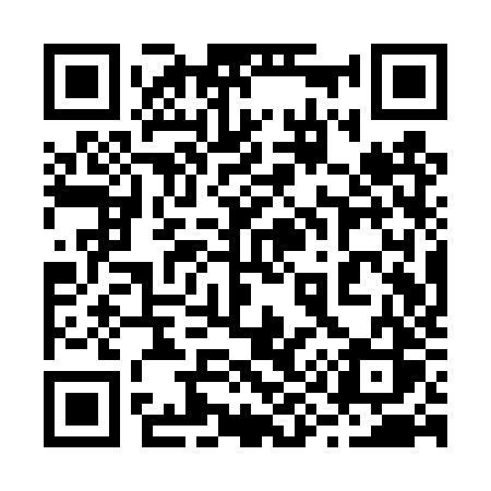 QR code for 291TZS