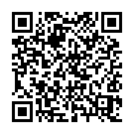 QR code for 291ZIS