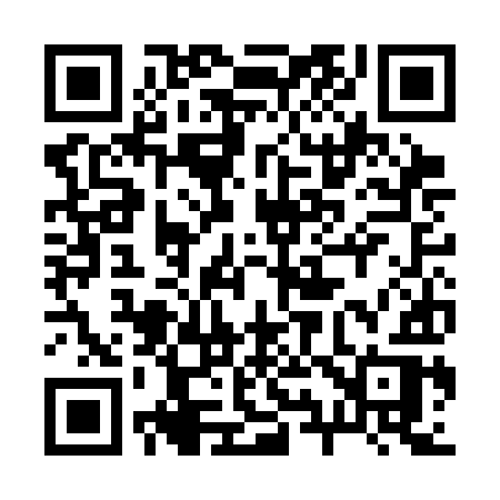 QR code for 293CIR