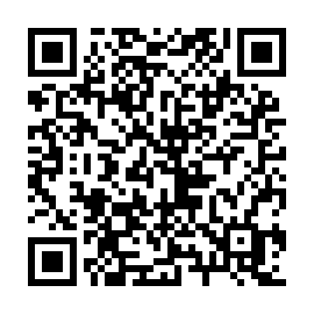 QR code for 293IBF