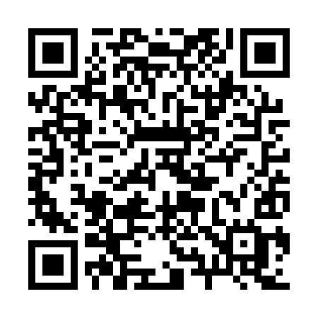 QR code for 293QYG