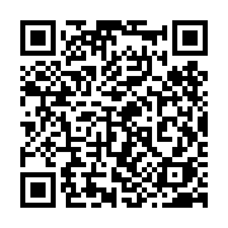 QR code for 293TCH
