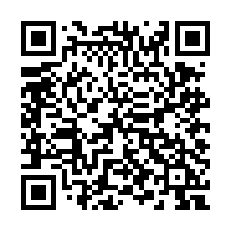 QR code for 294DDE