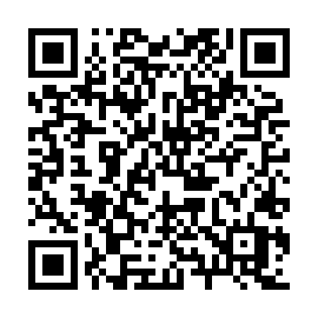 QR code for 294HLT