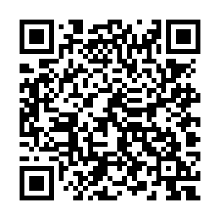 QR code for 294NKG