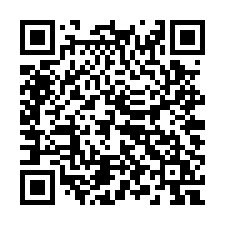 QR code for 294PPU