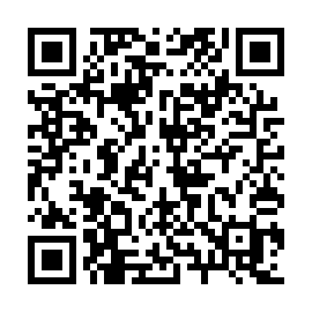 QR code for 295AQI