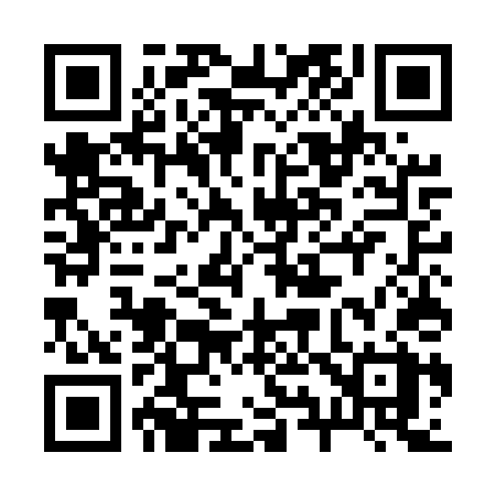 QR code for 295ETX