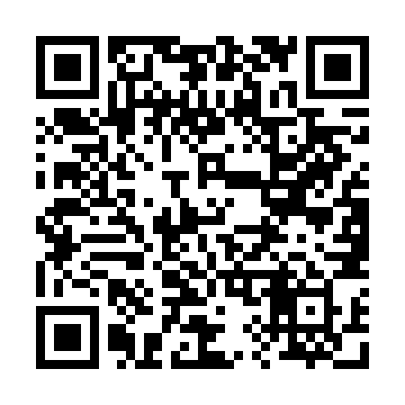 QR code for 295FNY