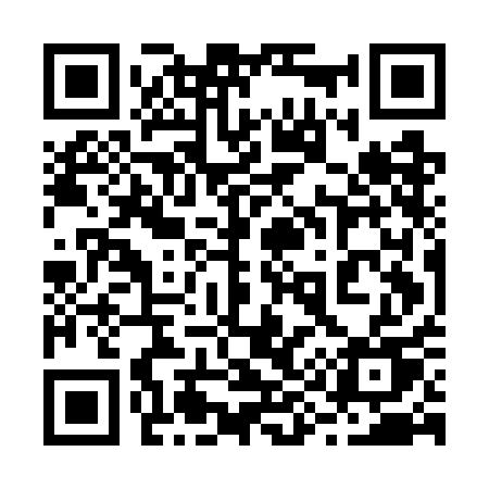 QR code for 295GAU