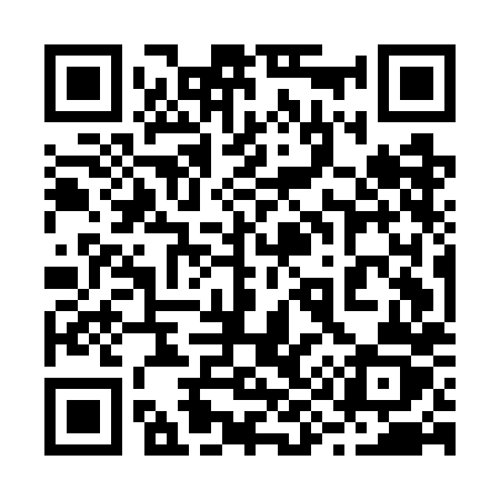 QR code for 295GHZ