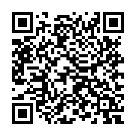 QR code for 295HZT
